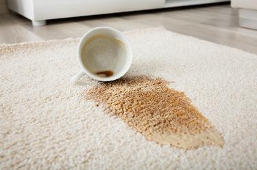 Premium Rug Cleaning in Prescott Valley, AZ