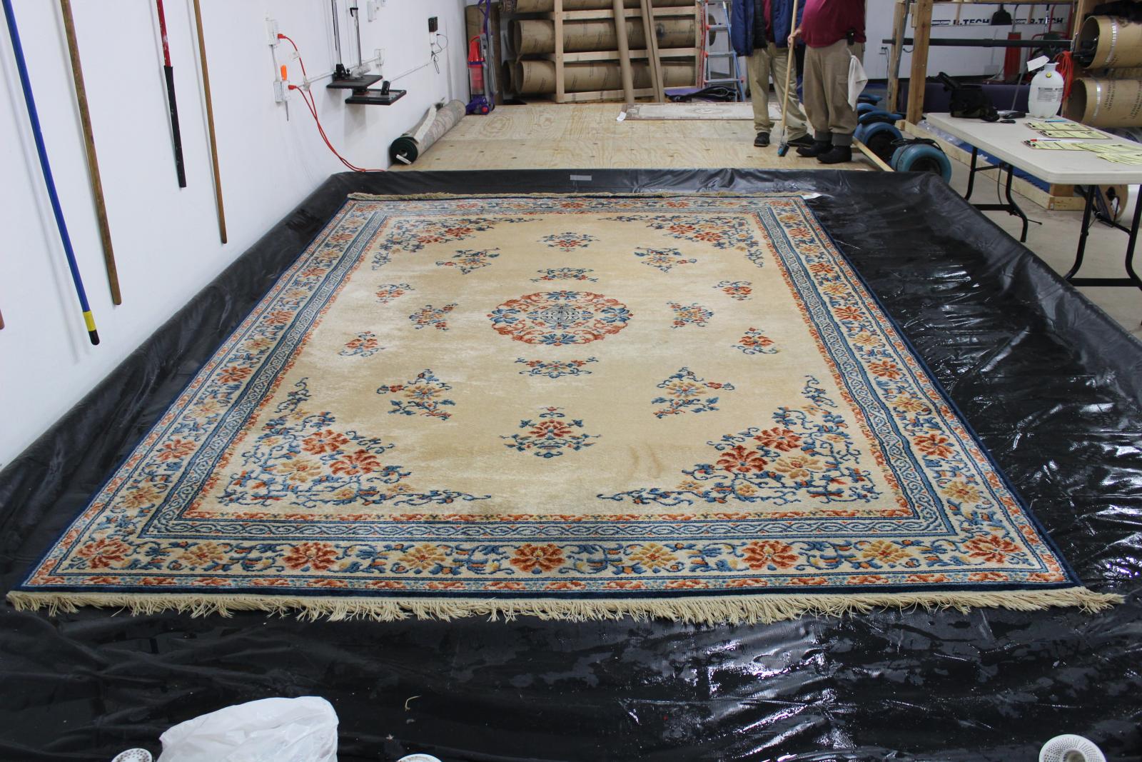 Wet Rugs And How Experts Recover Them in Prescott, AZ