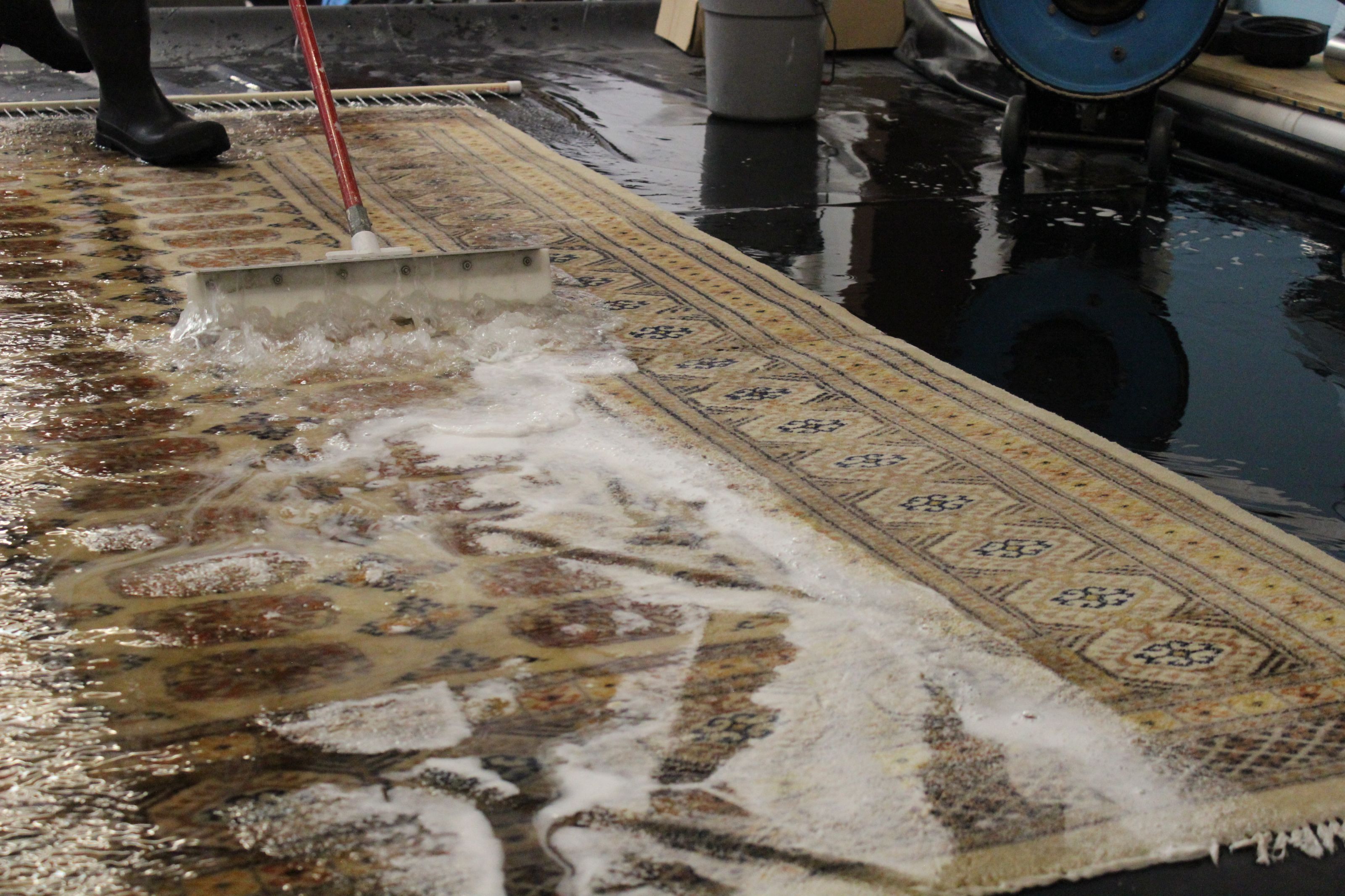 Find Area Rug Care Professionals